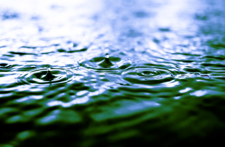 Rain making waves in a lake